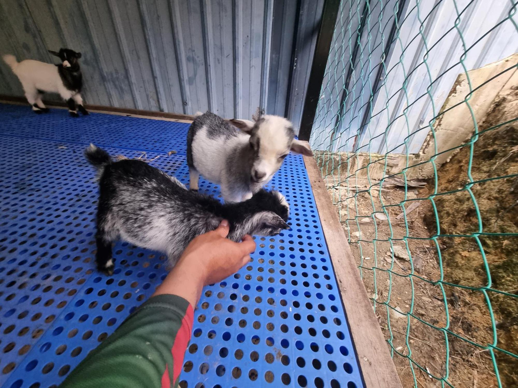 ホテル Tamu Eco Lenggeng エクステリア 写真